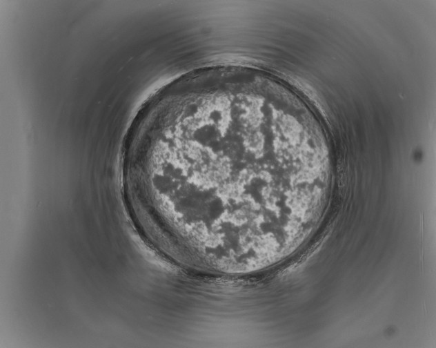 X0000094060987200711161520