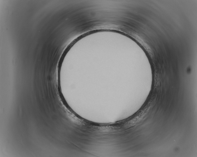 X0000094060988200711161520