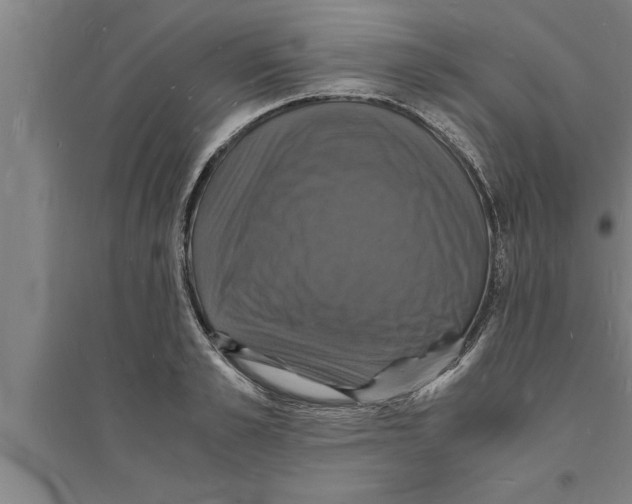 X0000094060989200711161520