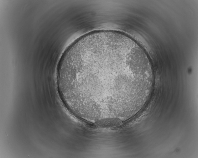 X0000094060990200711161520