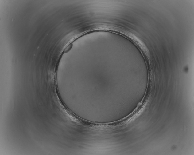 X0000094060993200711161520