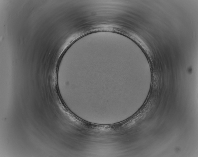 X0000094060994200711161520