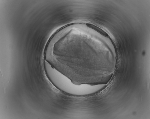 X0000094060996200711161520