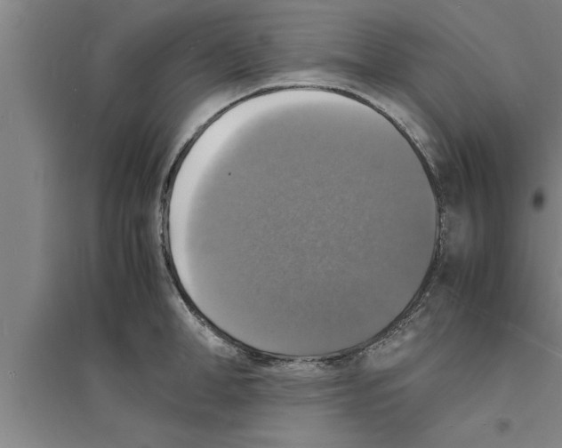 X0000094060998200711161520