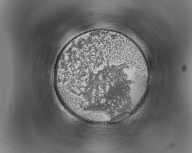 X0000094060999200711161520