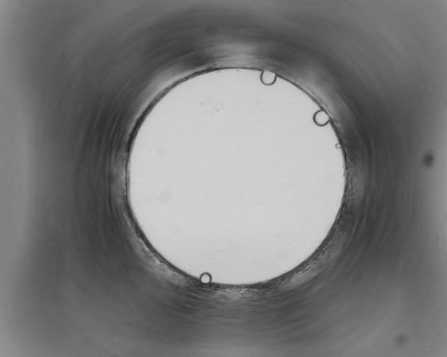 X0000094061000200711161520