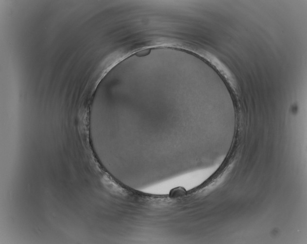 X0000094061001200711161520