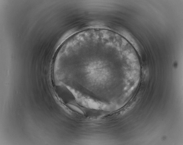 X0000094061002200711161520