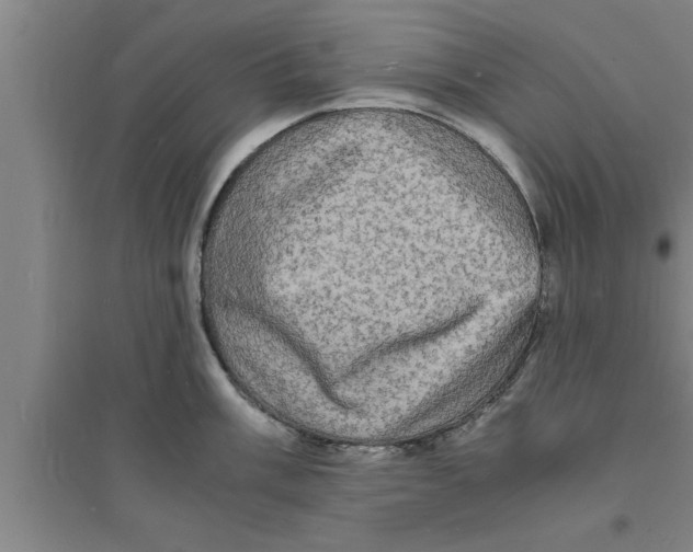 X0000094061003200711161520