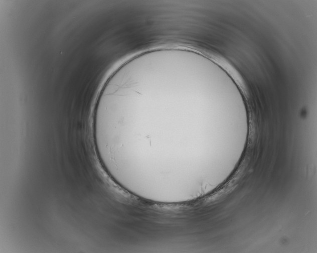 X0000094061004200711161520