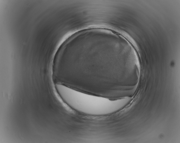 X0000094061005200711161520