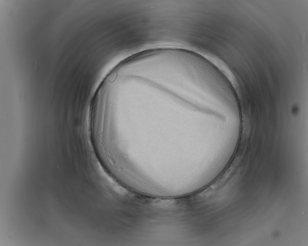 X0000094061006200711161520