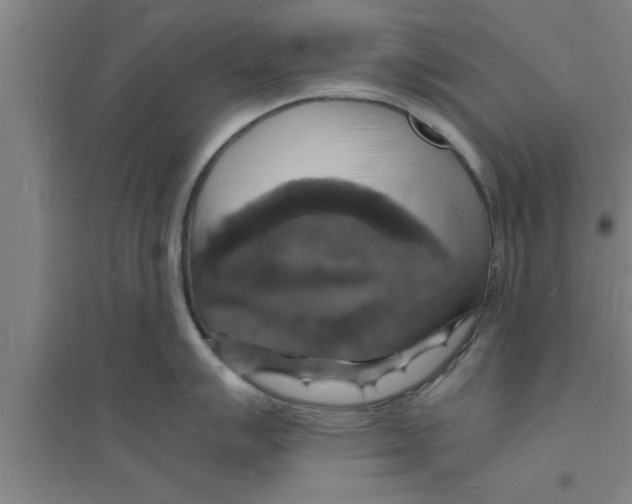 X0000094061007200711161520