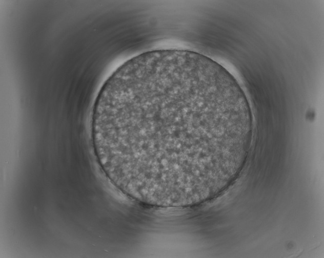 X0000094061008200711161520