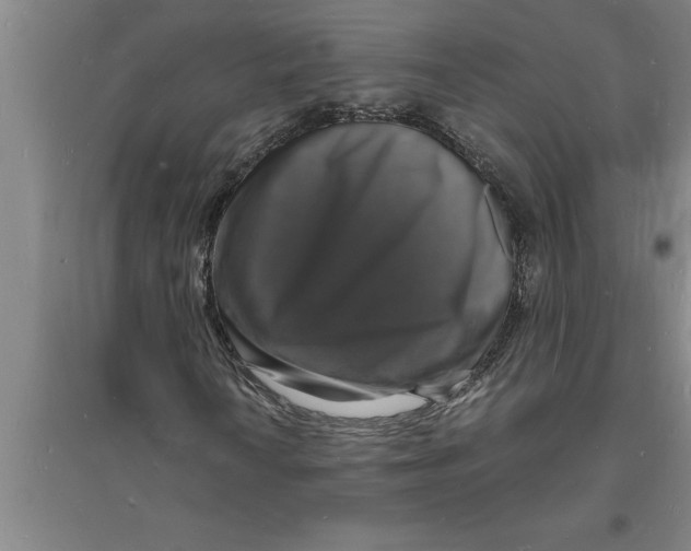 X0000094061010200711161519