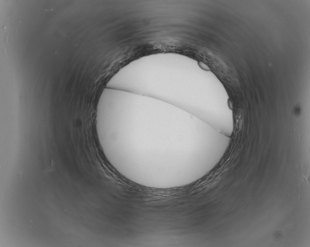 X0000094061012200711161519