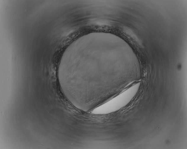 X0000094061013200711161519