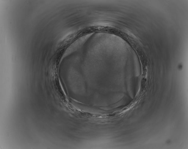 X0000094061014200711161519