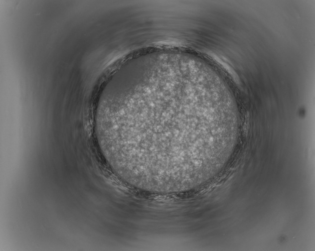 X0000094061015200711161519