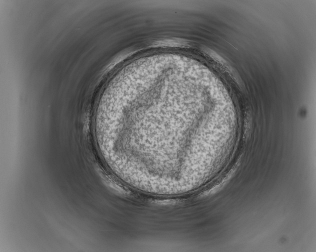 X0000094061017200711161519