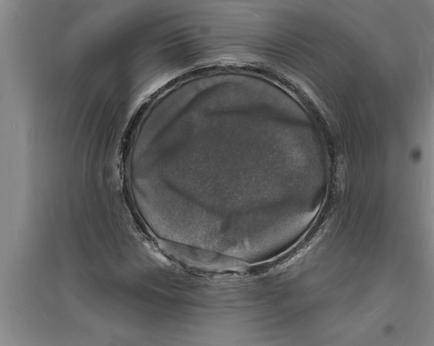 X0000094061018200711161519