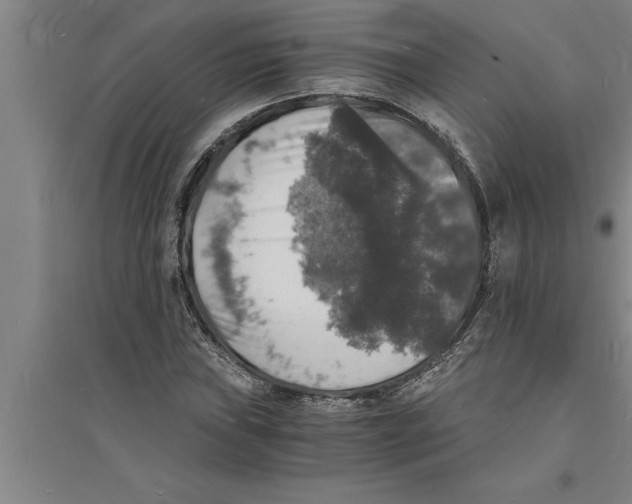 X0000094061019200711161519