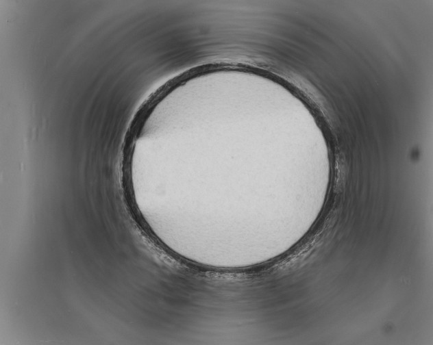 X0000094061020200711161519