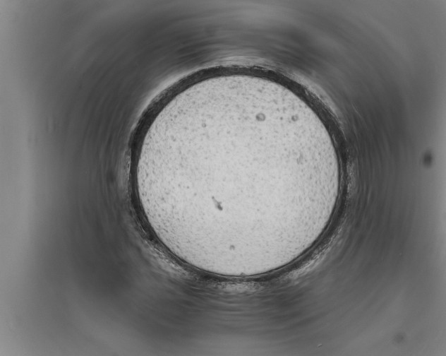 X0000094061021200711161519