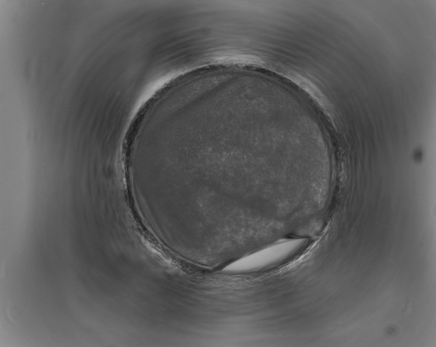 X0000094061022200711161519