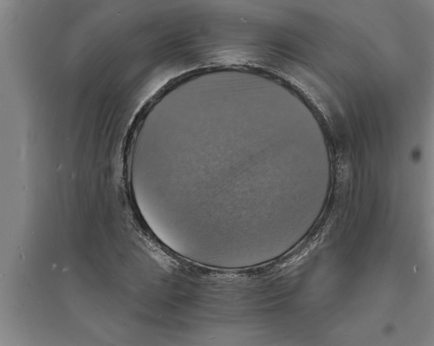 X0000094061023200711161520