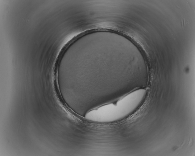 X0000094061024200711161520