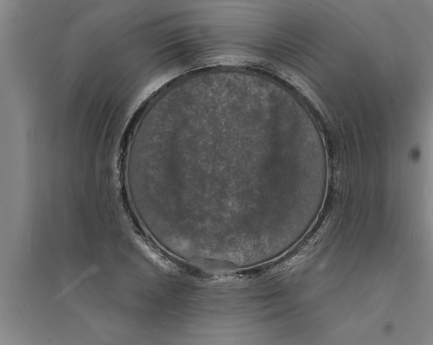 X0000094061026200711161520