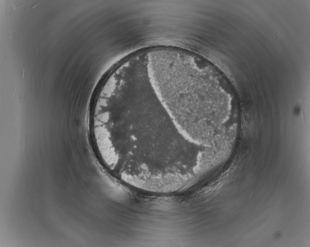 X0000094061028200711161520