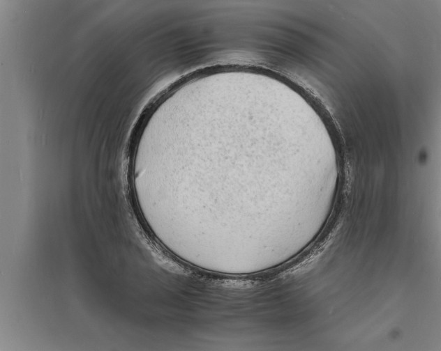 X0000094061029200711161520