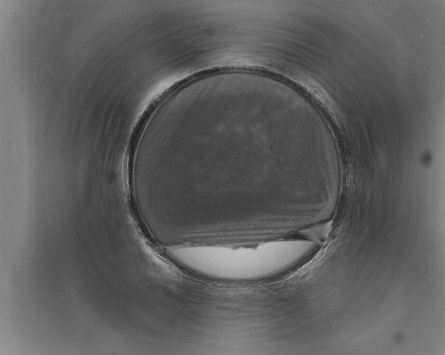 X0000094061030200711161520