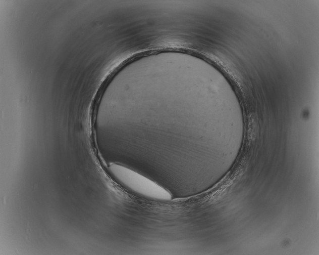 X0000094061031200711161520