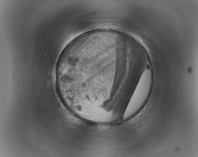 X0000094061032200711161520