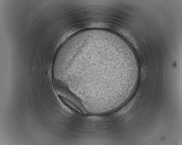 X0000094061033200711161520