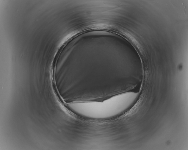 X0000094061034200711161520