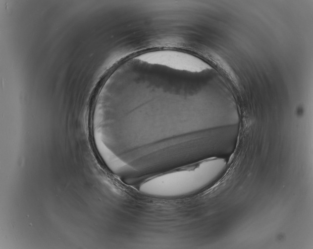 X0000094061035200711161520