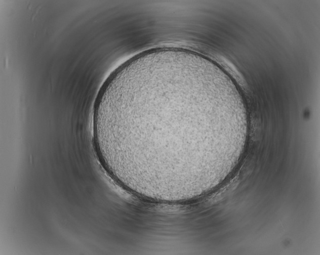 X0000094061036200711161520