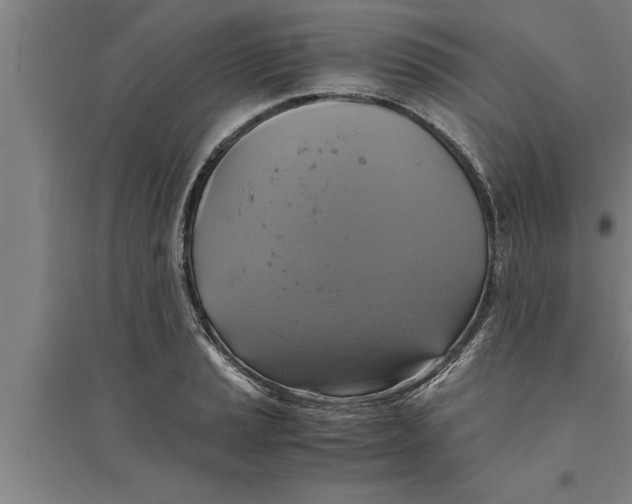 X0000094061037200711161520