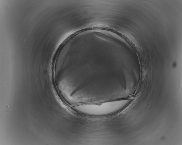 X0000094061038200711161520