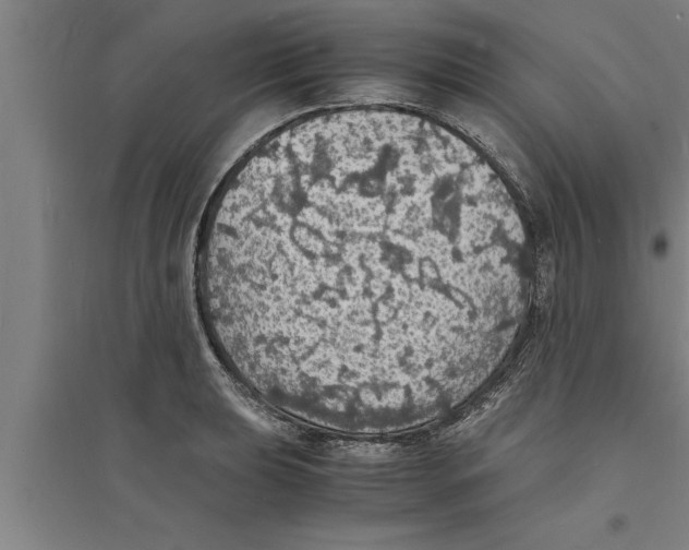 X0000094061039200711161520