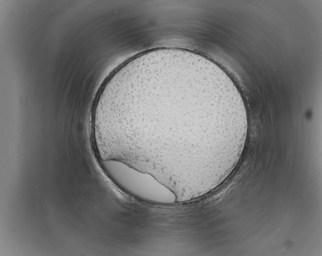 X0000094061040200711161520