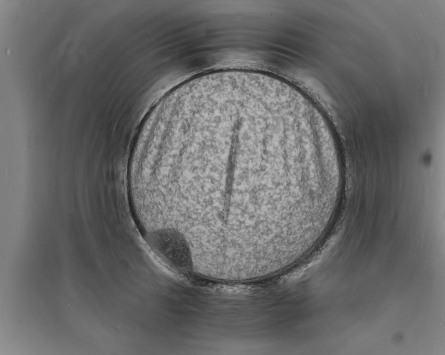 X0000094061041200711161520