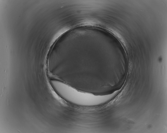 X0000094061042200711161520