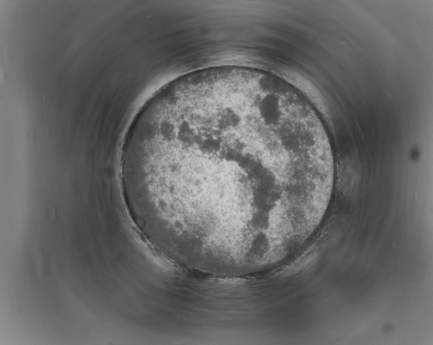 X0000094061043200711161520