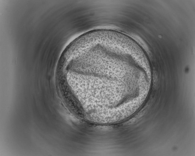 X0000094061044200711161520