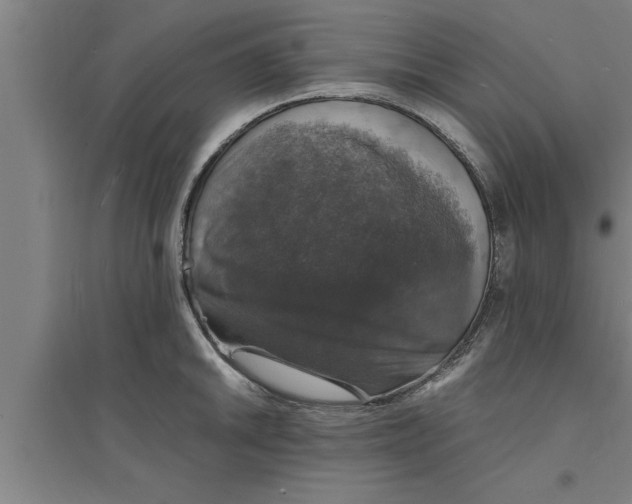 X0000094061046200711161520